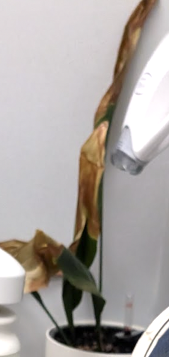 Pasted image 20261028144203.png|200